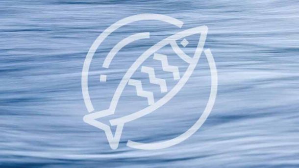 Fischwochen Bodensee Lindau